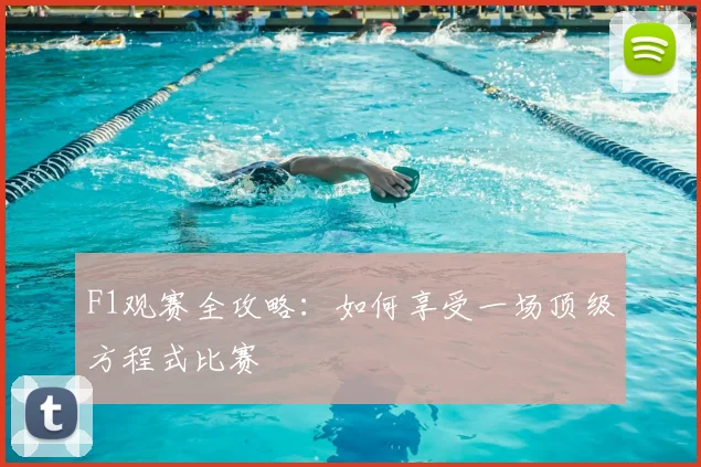 F1观赛全攻略:如何享受一场顶级方程式比赛